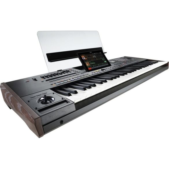KORG PA 5X-61