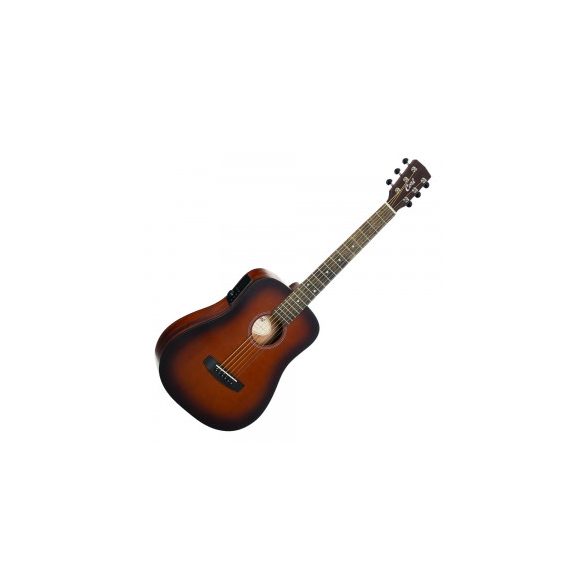 Cort Earth-GO-OPBB with bag
