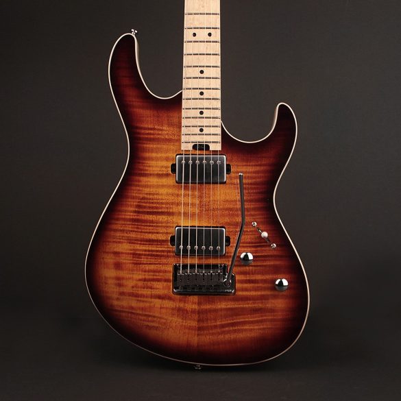 Cort-G290FAT-AVB