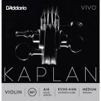 Kaplan KV310-4/4M Vivo Violin Medium