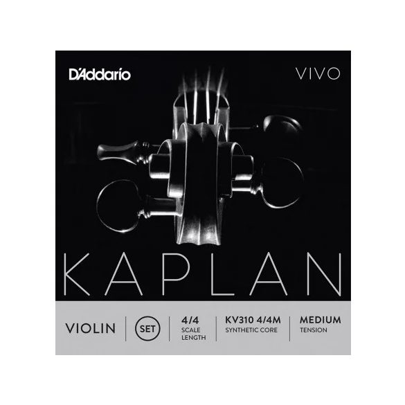 Kaplan KV310-4/4M Vivo Violin Medium