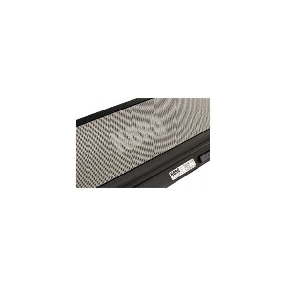 Korg PaAS MK2 hangprojektor