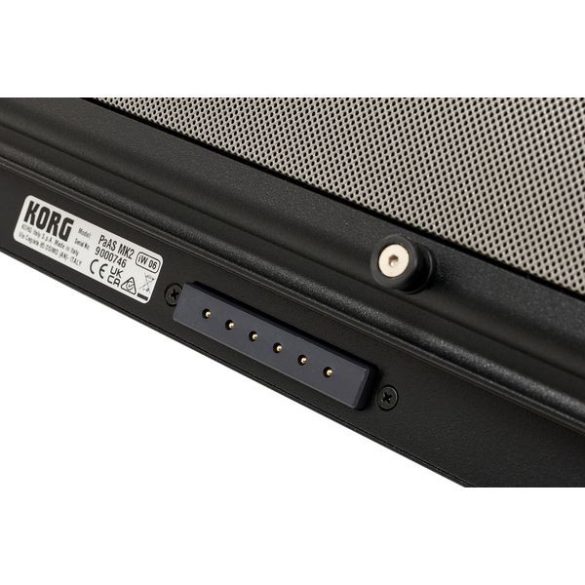 Korg PaAS MK2 hangprojektor