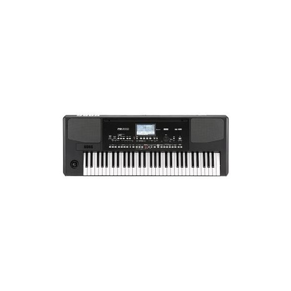 Korg Pa 300