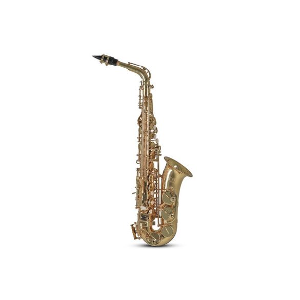 Conn-Selmer AS650 altszaxofon