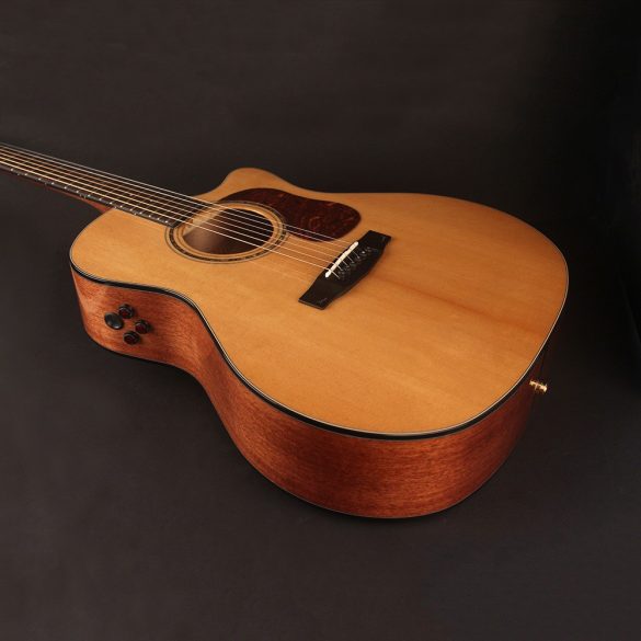 Cort-Gold-A6 with case