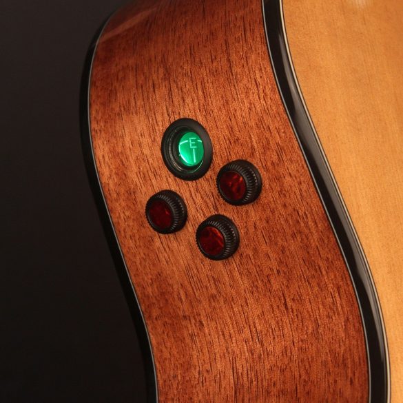 Cort-Gold-A6 with case