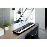 Korg Liano