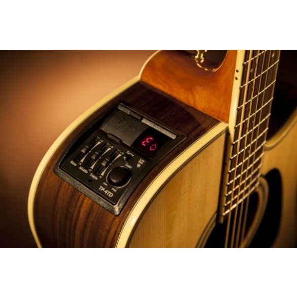 Takamine GD51CE Natural